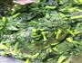 黄金菠菜卷的做法图解4