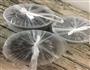 凉拌黑木耳的做法图解11