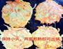 蔬菜菜丝鸡蛋饼的做法图解9