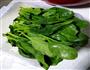 菠菜蚬子面的做法图解4