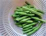 干煸茄子豆角的做法图解2