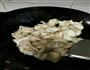 四川回锅肉的做法图解8