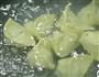 上海菜肉冷馄饨的做法图解6