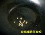 海虾萝卜丝汤的做法图解4