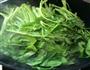 豆瓣酱虾米肉末炒通心菜的做法图解7