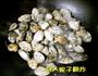 炒蚬子的做法图解5