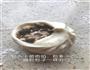 梅干菜饼的做法图解5
