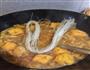沙茶虾煲的做法图解18