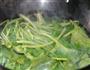 山东沙茶凉拌菠菜的做法图解2