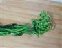 山东沙茶凉拌菠菜的做法图解5