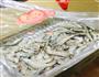 蒜蓉粉丝蒸虾的做法图解1