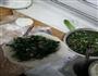 荠菜猪肉馅饼的做法图解4