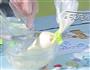 水果巧克力的做法图解5
