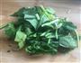 鸡蛋炒菠菜的做法图解3
