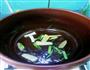 砂锅鱼头豆腐汤的做法图解2