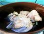 砂锅鱼头豆腐汤的做法图解3