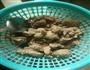 土豆洋葱炖牛肉的做法图解2