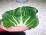 青菜卷卷的做法图解4