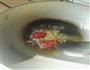 豆腐的做法图解3