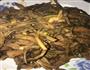 茶树菇烧牛柳的做法图解8