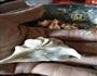 笋干猪肉饺的做法图解6