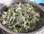 蒸荠菜 好滋味蒸出来的做法图解5