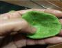 青团的做法图解5