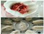 烫面柳叶羊肉蒸饺的做法图解6