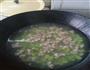 蚕豆肉末汤的做法图解5