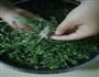 荠荠菜蛋饼的做法图解1