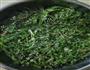 荠荠菜蛋饼的做法图解3