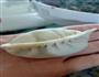韭菜鲜虾饺的做法图解3