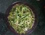 粉蒸茼蒿的做法图解3
