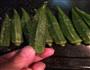 烤秋葵的做法图解6
