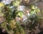 奶酪蘑菇鸡肉意大利面的做法图解5