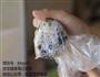 蔬菜米饼的做法图解9