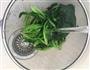 快手凉拌菜系列-凉拌菠菜的做法图解5
