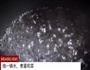 无油快手又好吃的 卤肉饭的做法图解19