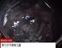 无油快手又好吃的 卤肉饭的做法图解21