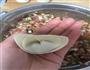 猪肉大葱馄饨的做法图解6
