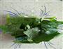 菠菜米粉的做法图解1