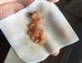 鲜虾猪肉小馄饨的做法图解2