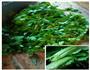 土灶油焖菜饭 的做法图解1