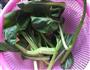 蒜末炒菜心的做法图解1