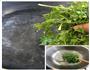 留住春天的味道-荠菜猪肉水饺的做法图解3