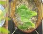 鱼泥蒸豆腐的做法图解2