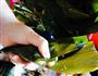 香菇肉粽子的做法图解10