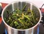 野菜炸着吃，香酥蕨菜的做法图解2