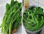 清炒小白菜的做法图解1