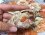 海鲜虾蟹粥的做法图解5